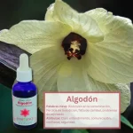 Algodón 30 ml – Altiplano Andessence