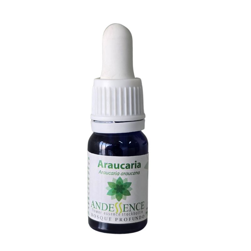Araucaria 10ml esencia floral