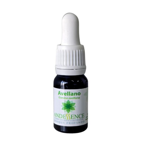 avellano 10ml