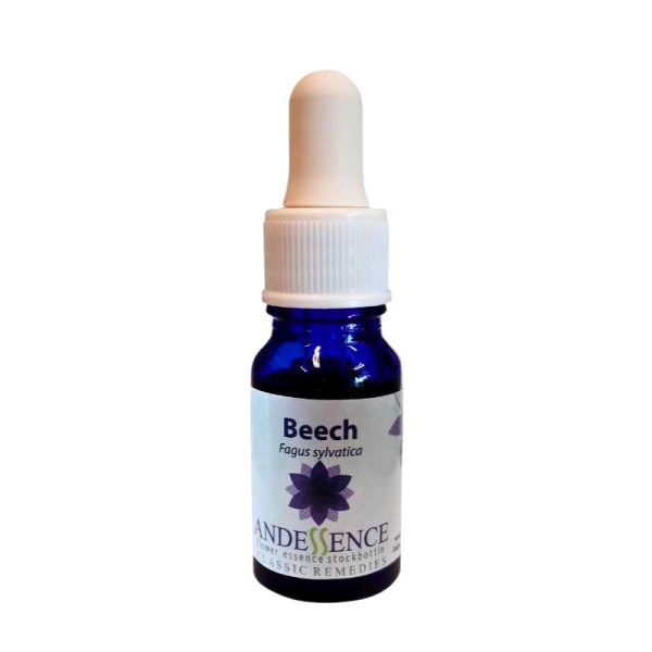 Esencia Floral Beech 10ml