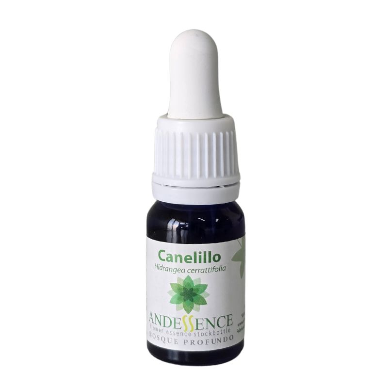 canelillo 10ml
