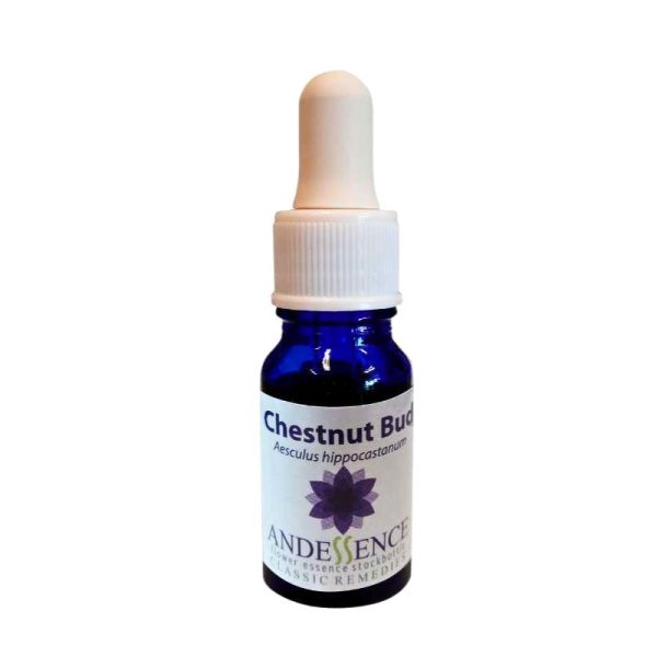 Esencia FLoral Chesnut bud 10ml