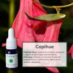 Copihue – Bosque Profundo Andessence