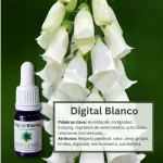 Digital Blanco – Bosque Profundo Andessence