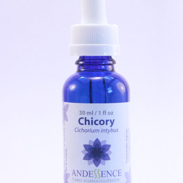 Chicory 30 ml Bach Classic Andessence