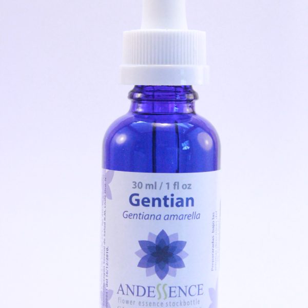Gentian 30 ml Bach Classic Andessence
