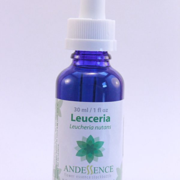Esencia Floral - Leuceria 30 ml
