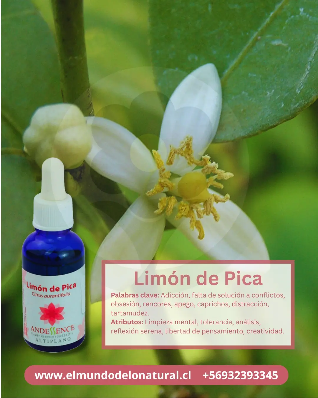 Limon de Pica Esencias Florales