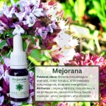 Mejorana – Bosque Profundo Andessence