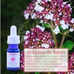 Esencias Florales