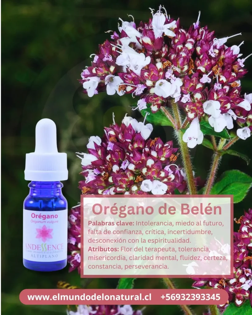 Esencias Florales