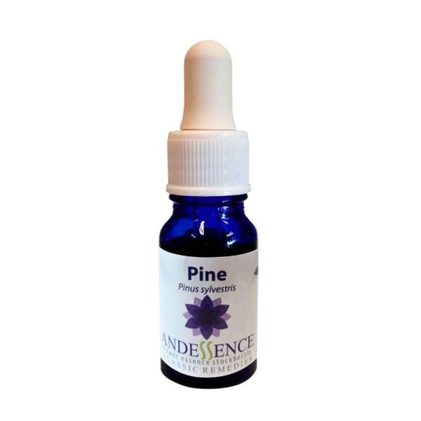 Esencia floral pine 10ml