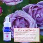 Rosa de Belén – Altiplano Andessence