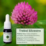 Trébol Silvestre – Bosque Profundo Andessence