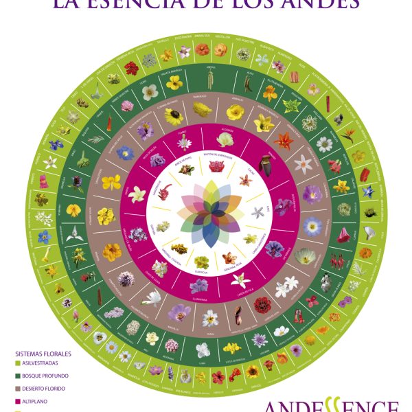 Poster Andessence