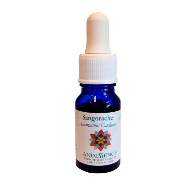 Esencia Floral Sangorache 10ml