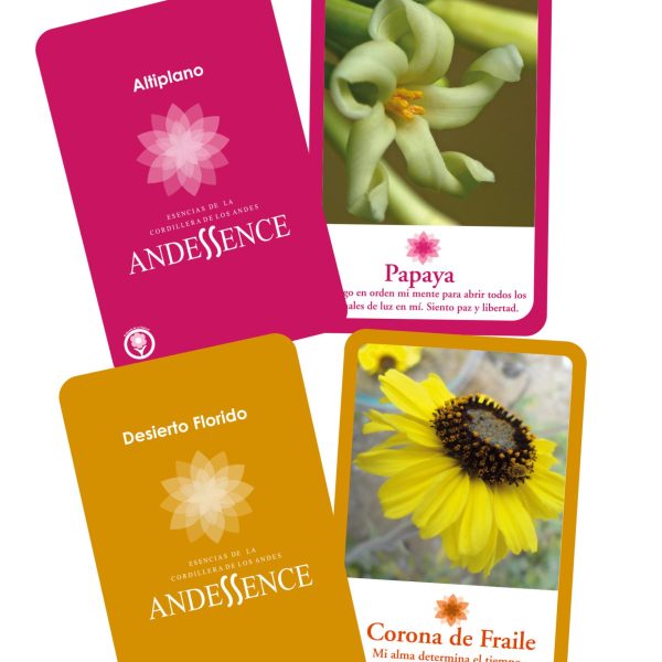 Set Carta Desierto Florido - Altiplano