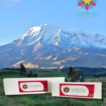 Kit Esencias Florales Centro del Mundo