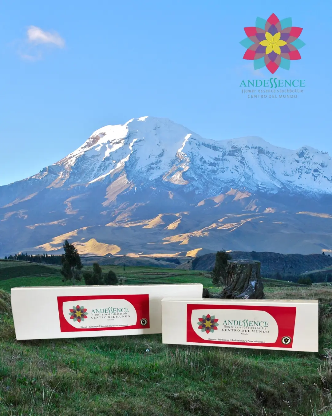 kit Kit Esencias Florales Centro del Mundo - Imagen 1