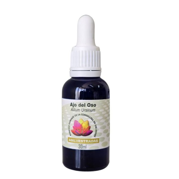 esencia floral ajo del oso 30ml