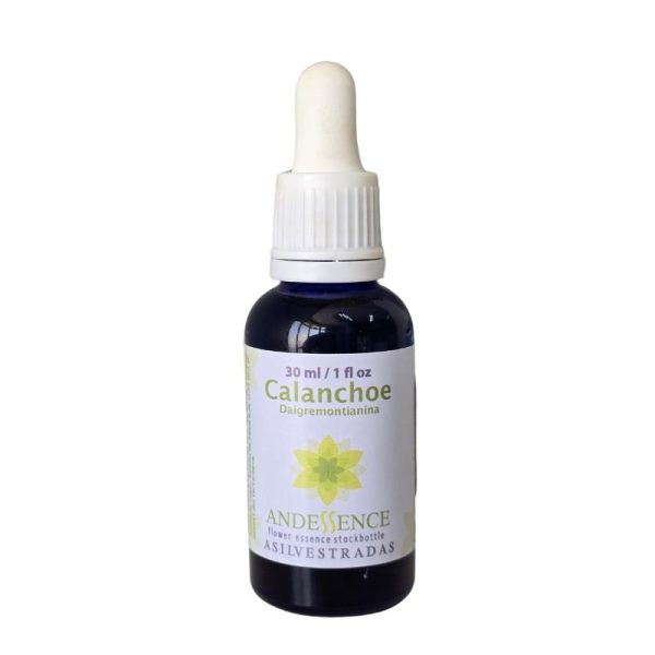 Kalanchoe 30ml