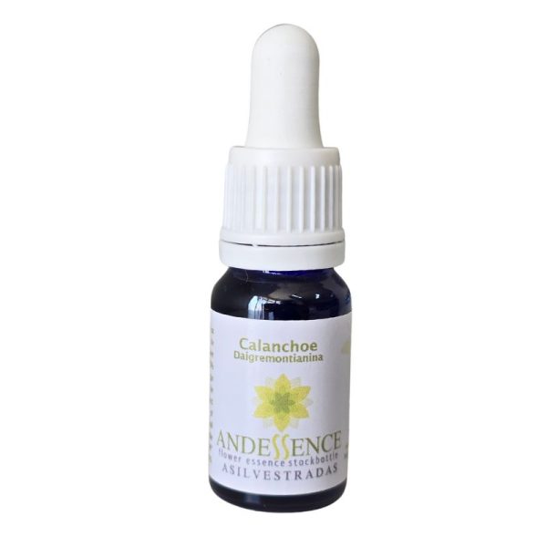 esencia floral CAlanchoe 10ml