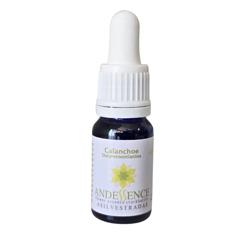 esencia floral CAlanchoe 10ml