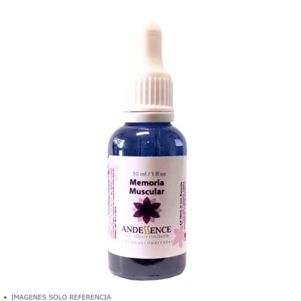 Memoria Muscular 30ml