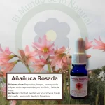 Añañuca Rosada – Desierto Florido Andessence