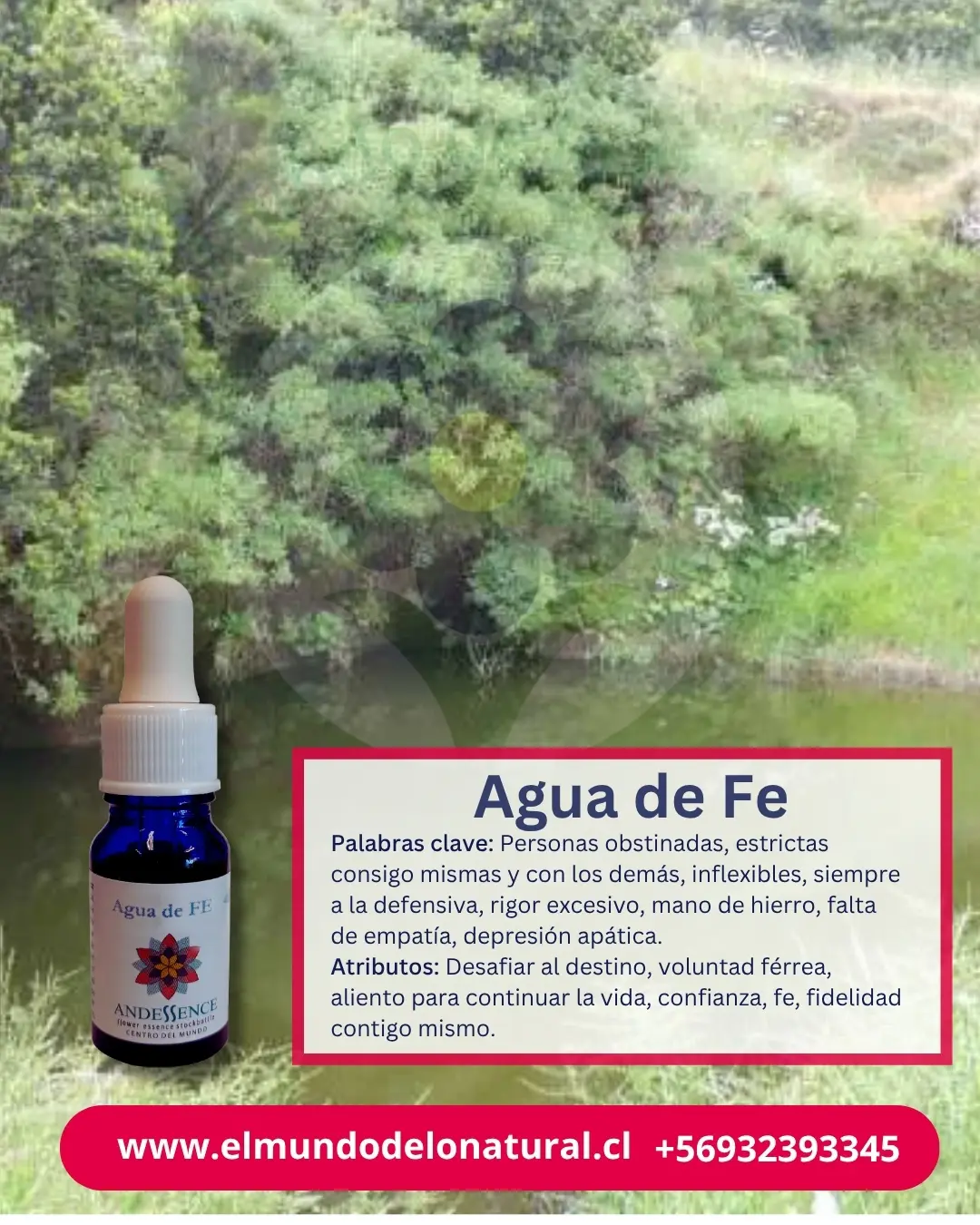 Agua de Fe 10 Agua de FE – Centro del Mundo Andessence - Imagen 1