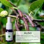 Aliso – Bosque Profundo Andessence