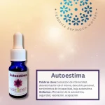 Autoestima  – Fórmulas Combinadas Andessence