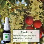 Avellano – Bosque Profundo Andessence