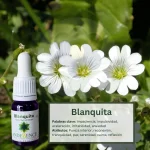 Blanquita – Bosque Profundo Andessence