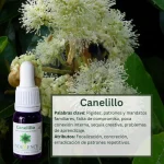 Canelillo – Bosque Profundo Andessence