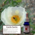 Cardo Santo – Desierto Florido Andessence