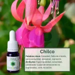 Chilco – Bosque Profundo Andessence