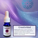 Creatividad – Fórmulas Combinadas Andessence