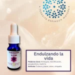 Endulzando la Vida – Fórmulas Combinadas Andessence