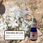 Estrella de Luz – Desierto Florido Andessence