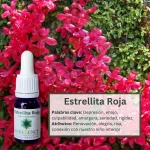 Estrellita Roja – Bosque Profundo Andessence