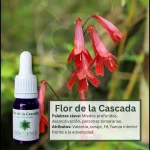 Flor de la Cascada – Bosque Profundo Andessence