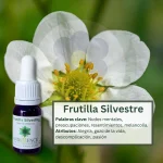Frutilla Silvestre – Bosque Profundo Andessence