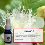 Guayaba – Centro del Mundo Andessence