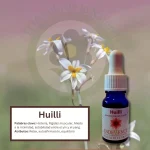 Huilli – Desierto Florido Andessence