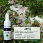 Luma – Bosque Profundo Andessence