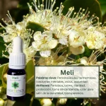 Meli – Bosque Profundo Andessence