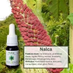 Nalca – Bosque Profundo Andessence
