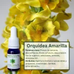 Orquídea Amarilla – Bosque Profundo Andessence