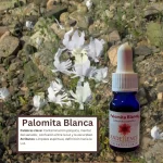 Palomita Blanca – Desierto Florido Andessence